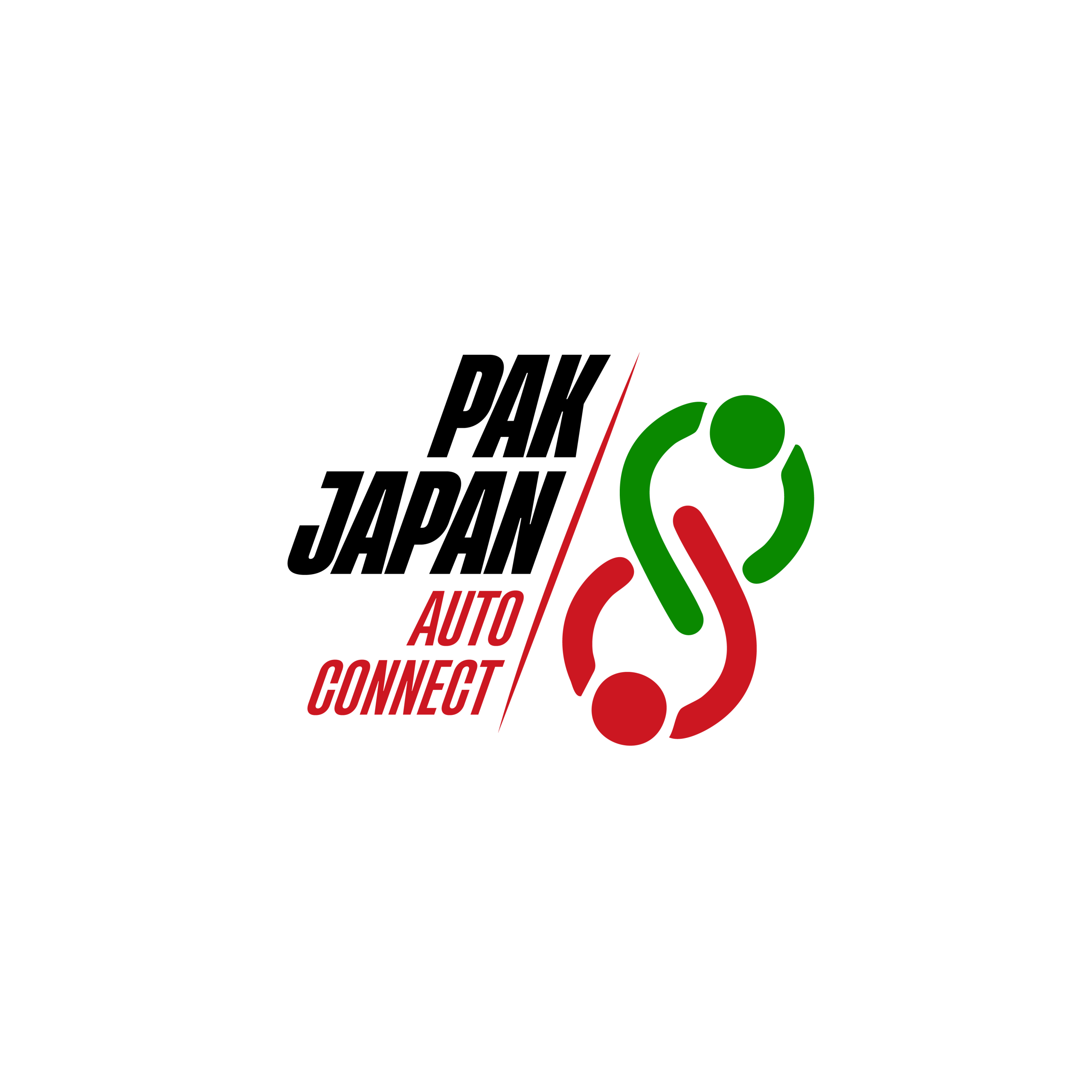 Pak Japan Auto Connect